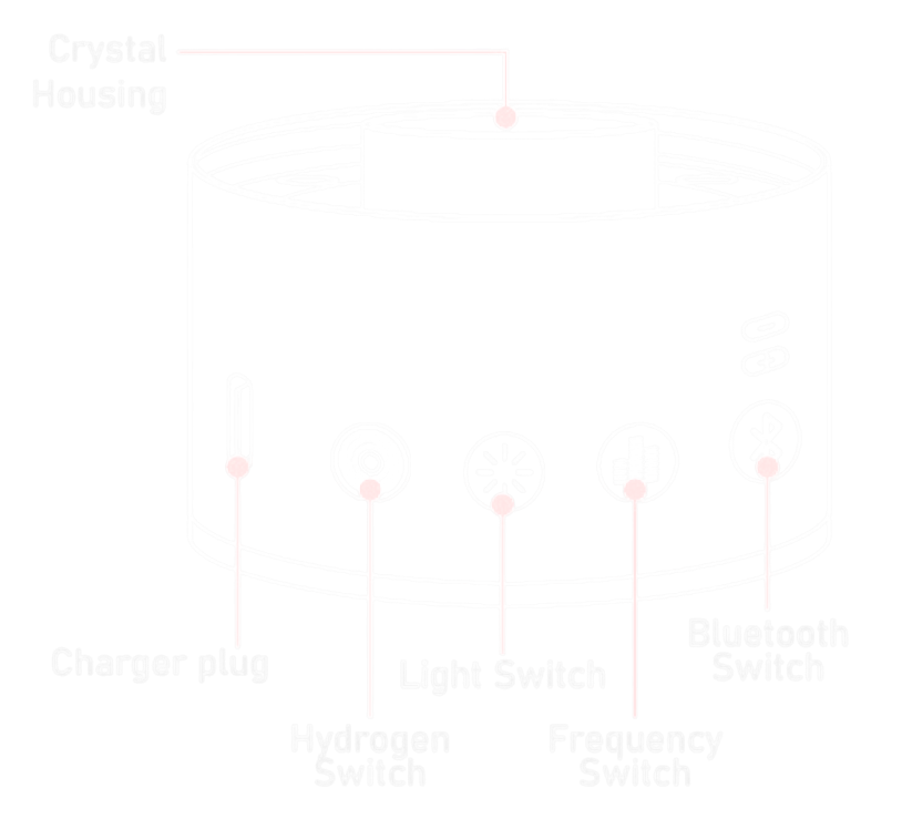 Bottle Diagram